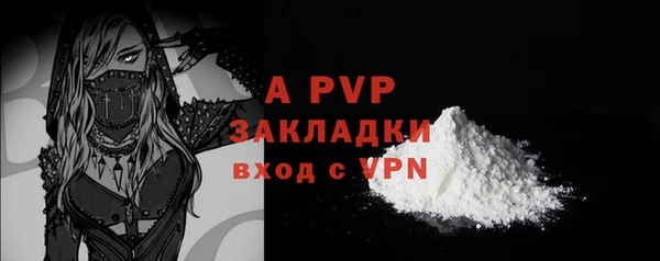 гашик Куйбышев