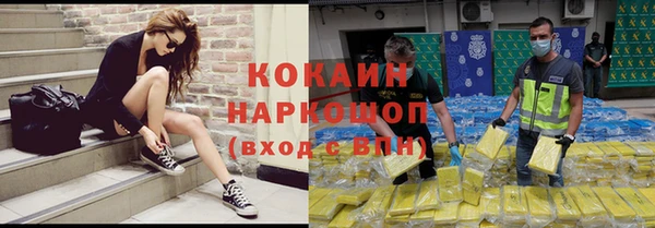 гашик Куйбышев